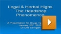 Legal Highs Conference 2009: Dr. Des Corigan