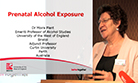 Alcohol Forum Conference 2014